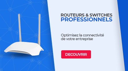 ROUTEURS & SWITCHES PROFESSIONNELS
